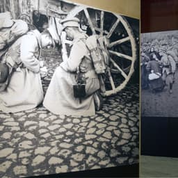 Exhibition Design For The Centenary Of The Portuguese Republic cover image