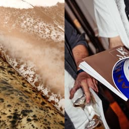 Anima Magazine - Hondo design work cover image