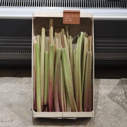 Brand Identity For All Greens cover image