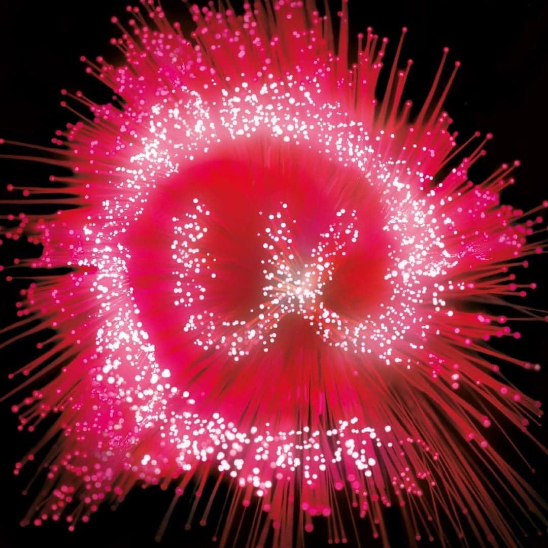 Brand Refresh For Education Uk