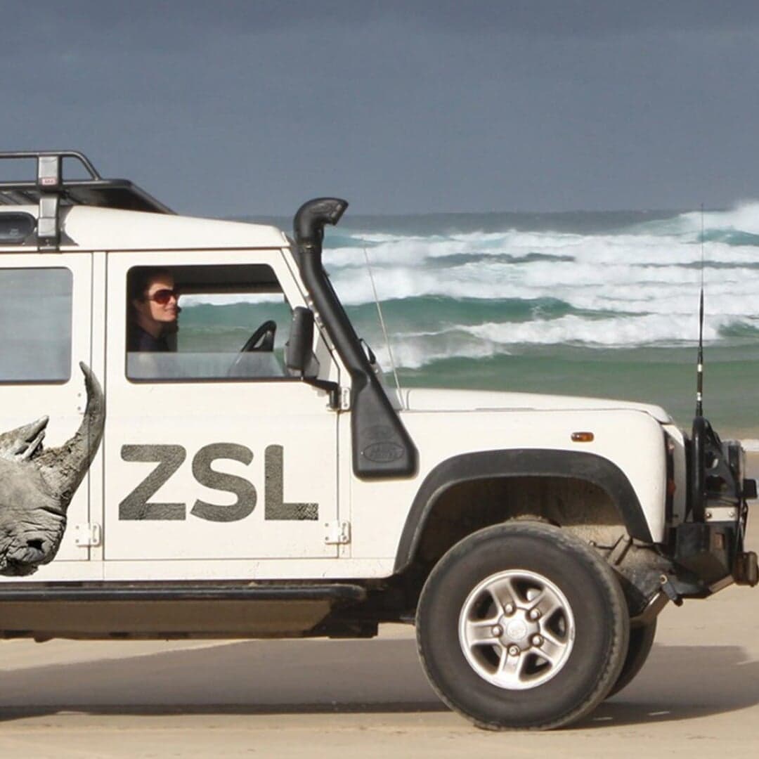 Brand Refresh For Global Wildlife Charity Zsl