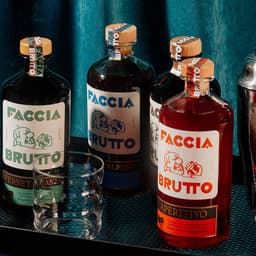 Packaging And Digital Experience For Faccia Brutto Spirits cover image