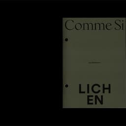 Art Direction And Zine Design For Comme Si X Lichen Collaboration cover image