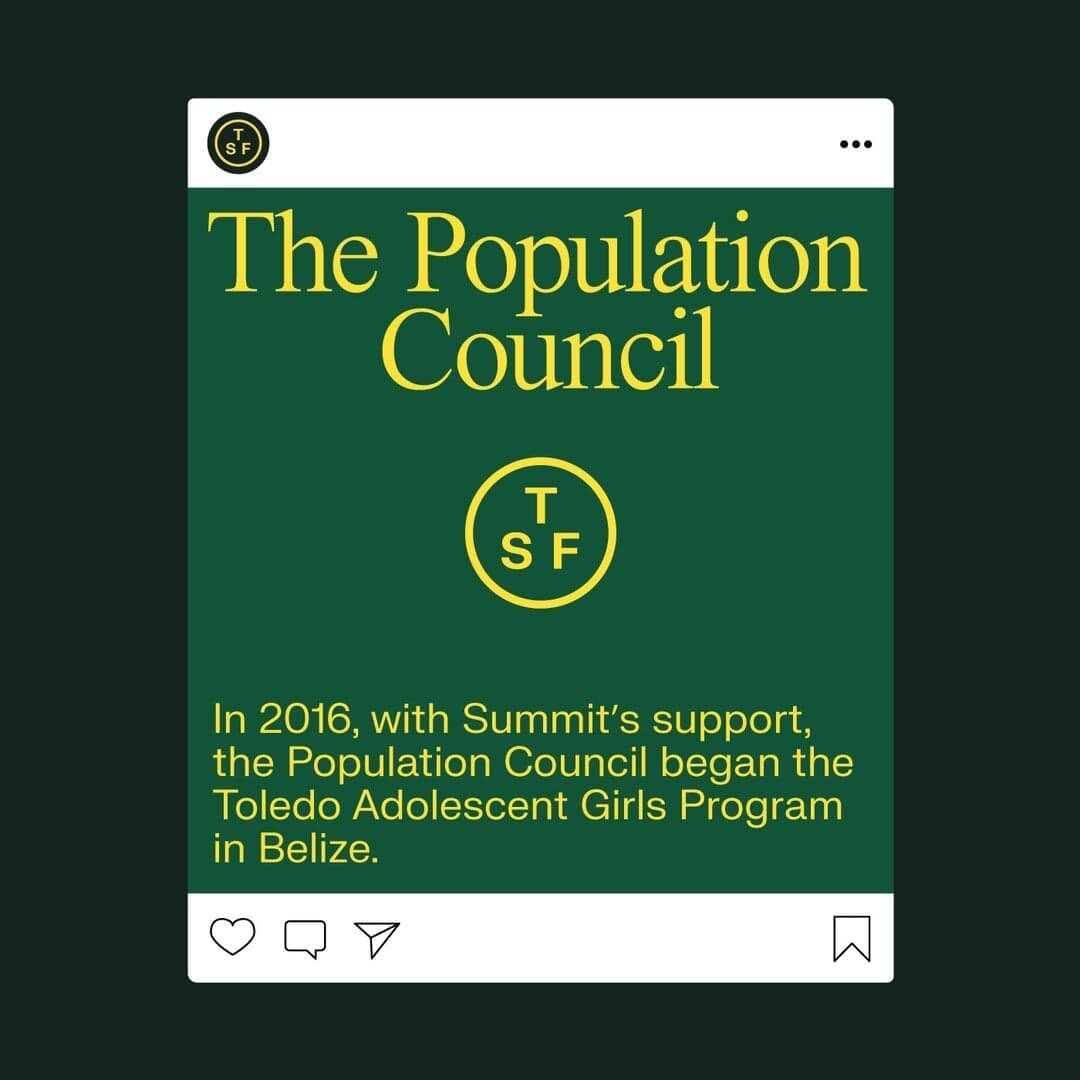 Brand Identity For The Summit Foundation