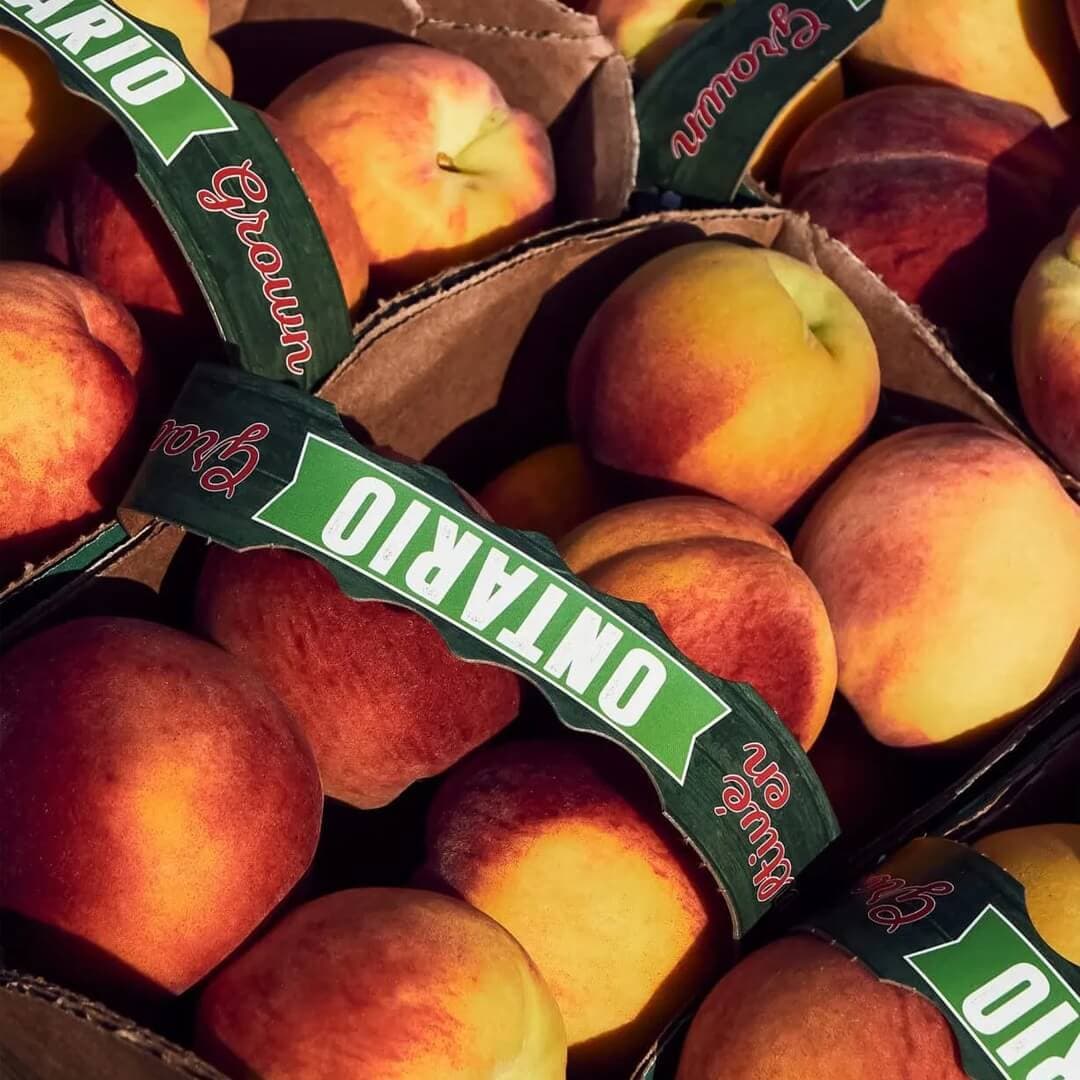 Destination Branding For Niagara Benchlands