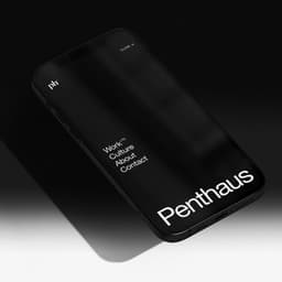 Brand Identity For Penthaus cover image