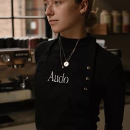 Brand Identity For Audo Copenhagen Merger cover image