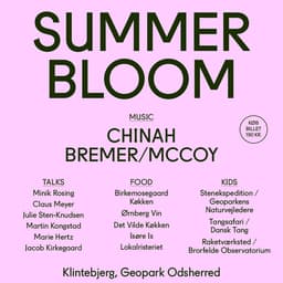 Identity Design For A Family Science Festival cover image