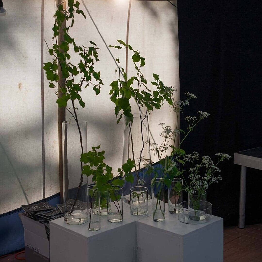 Brand Identity For Bloom Festival