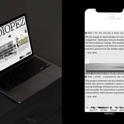 Visual Identity And Website Design For Studio Pez cover image