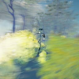 Multisensory Gaming Experience For Meta cover image