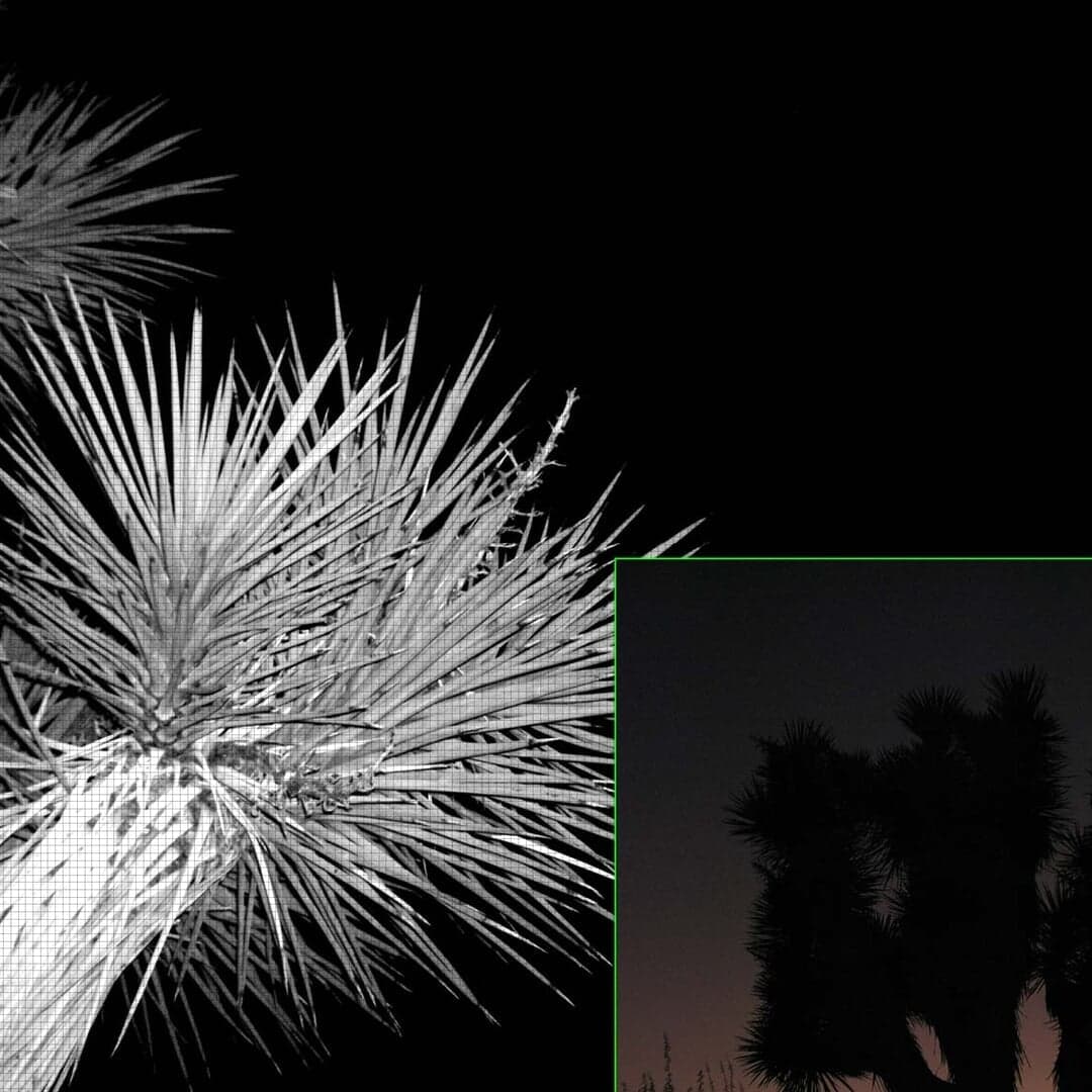 Editorial And Photography Project For Night Light