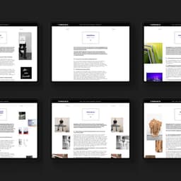 Visual Identity And Website Design For Tongues Platform cover image