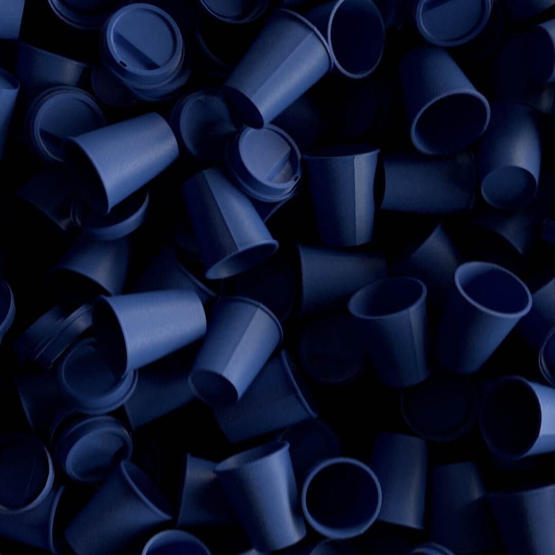 Cg Campaign For Everlane And Oceana