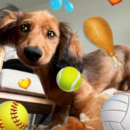 Emoji Design System For Twitter Twemoji cover image