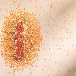 Motion Idents For 5star Channel Rebrand cover image