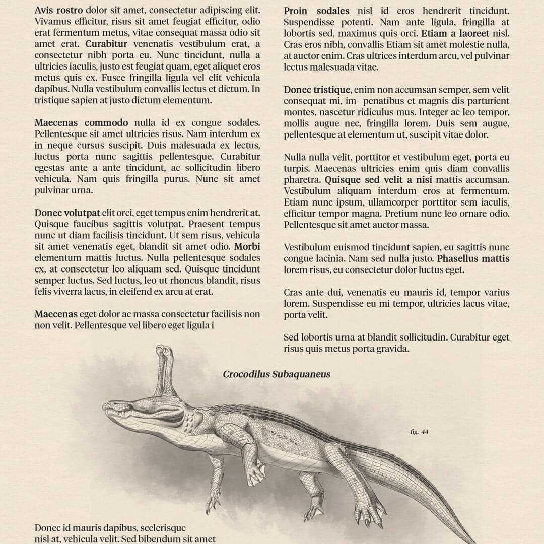 Animated Campaign For Coda Productivity Platform