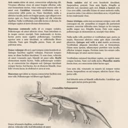 Animated Campaign For Coda Productivity Platform cover image