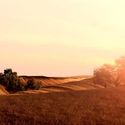 Cg Campaign For Ralph Lauren Romance Elixir cover image