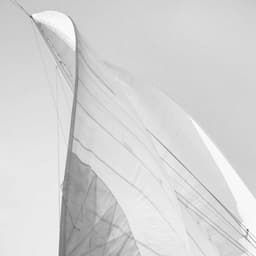 Rebrand And Website Design For Executive Search Consultancy Lutine Bell cover image