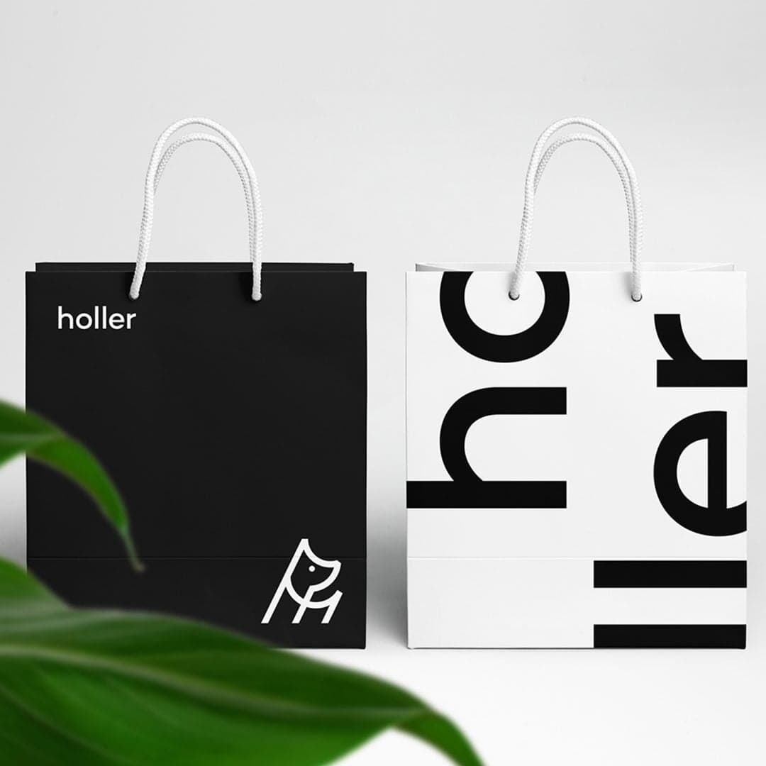 Brand Identity And E-commerce Website For Premium Dog Boutique Holler