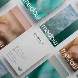 Brand Identity For Medow Healthcare Platform cover image