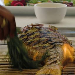 Branding And Sales Collateral For Albany Luxury Residences cover image