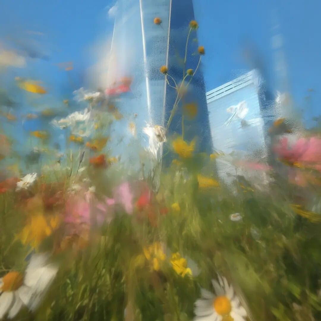 Global Brand Campaign For Mckinsey & Company