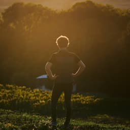 Packaging Design For Engel 23 Wine Series cover image