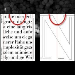 Brand Identity And Packaging For Neumeister Winery cover image