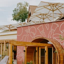 Brand Identity For Fräulein Leni Hotel cover image