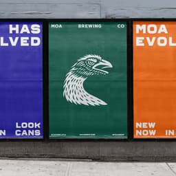 Brand Evolution For Moa Brewing Co cover image