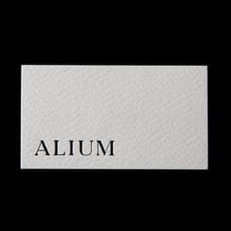 Visual Identity And Art Direction For Alium Art Gallery cover image