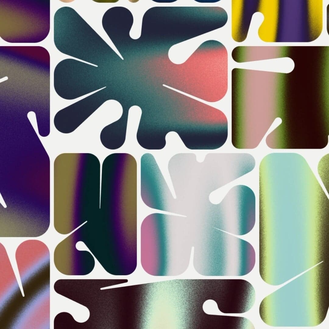 Brand Identity And Visual System For Palm Nft Blockchain