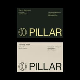 Brand Identity For Pillar cover image