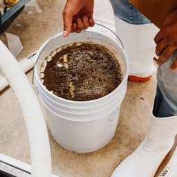 Visual Identity And Packaging For Lazarus & Colin Meadery cover image