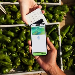 Global Rebrand For Wise cover image