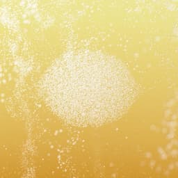 Motion Films For Truly Hard Seltzer cover image