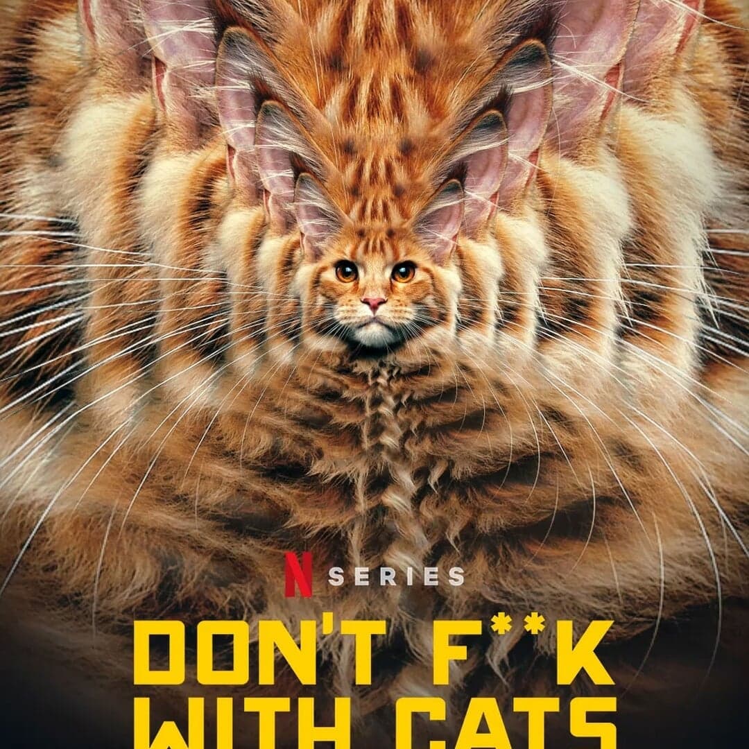 Title Design For Don't F**k With Cats