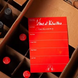 Visual Identity And Art Direction For Vin Natuur cover image