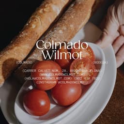 Visual Identity For Colmado Wilmot cover image