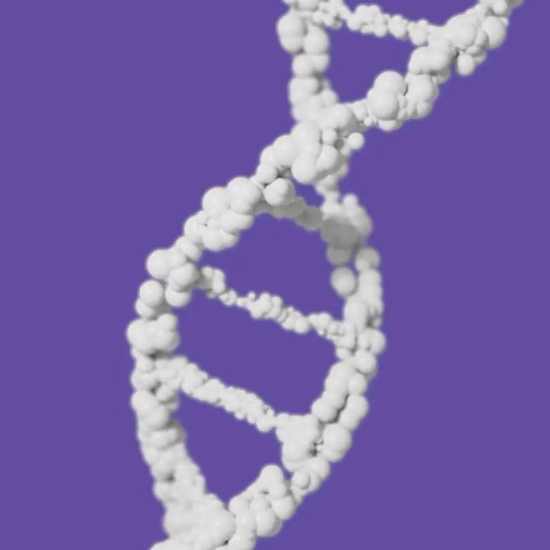 3d Launch Video For Aryaka