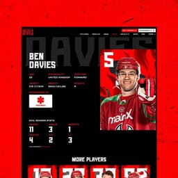 Rebrand And Website Design For Cardiff Devils Ice Hockey Team cover image