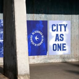 Campaign And Art Direction For The Celtic Collection cover image