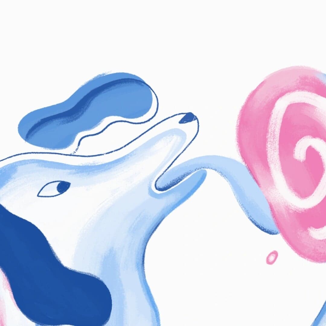 Animated Awareness Campaign For The Humane Society