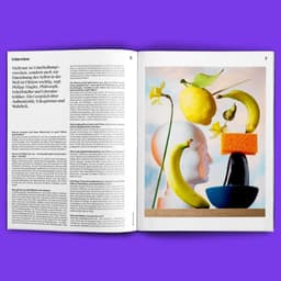 Editorial Design For Srg Member Magazine cover image