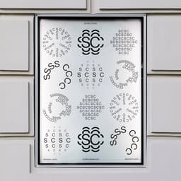 Motion-led Identity And Website For Studio Costae cover image