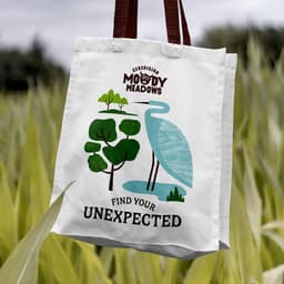 Brand And Website Design For Moody Meadows Destination Retreat cover image