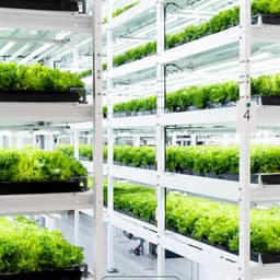 Packaging Redesign For Onna Vertical Farming Salads cover image