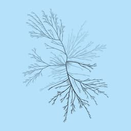 Brand Identity And Website Design For Harmonic Discovery cover image